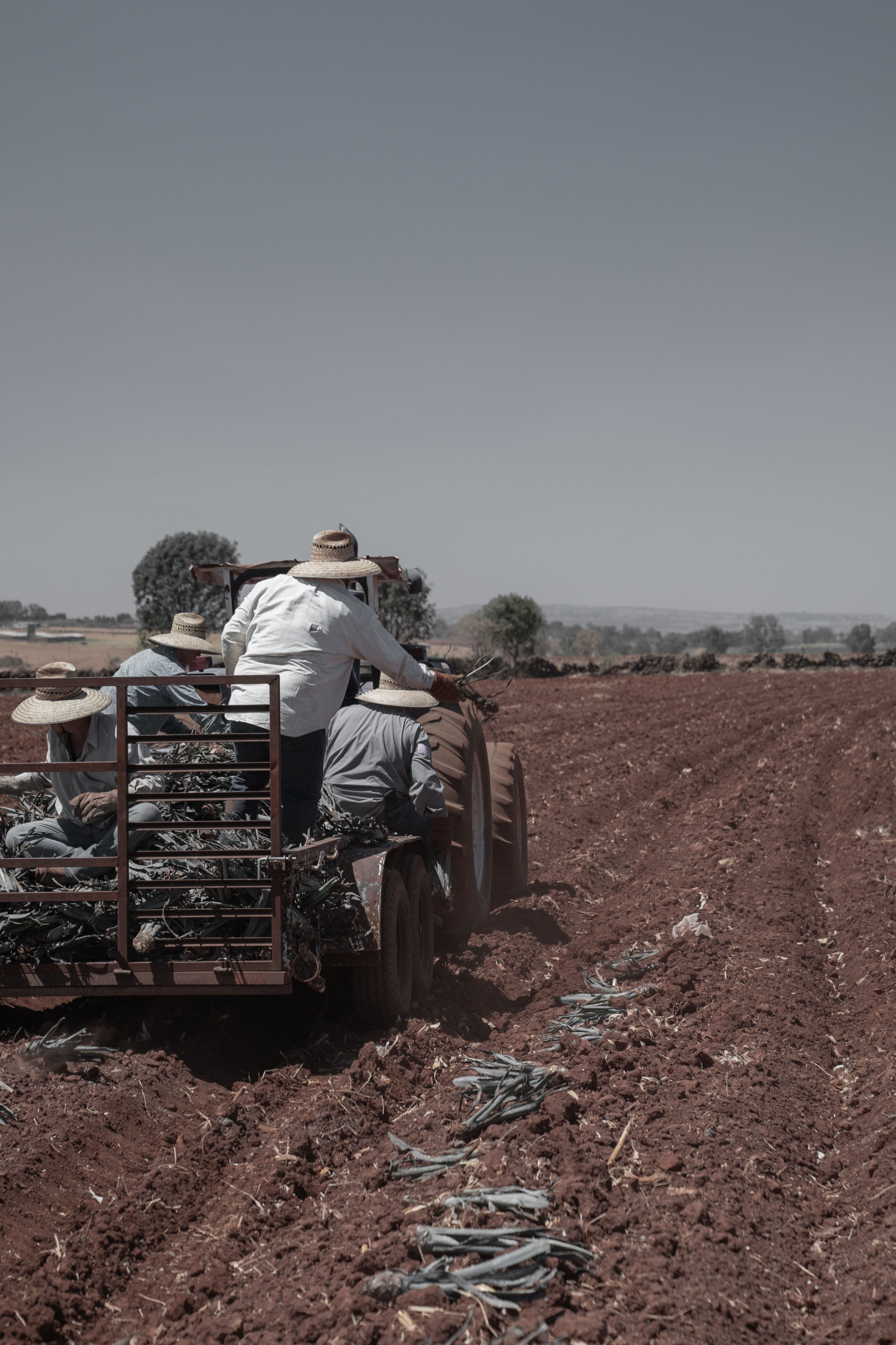 Agricultores trabajando en un campo mediterráneo